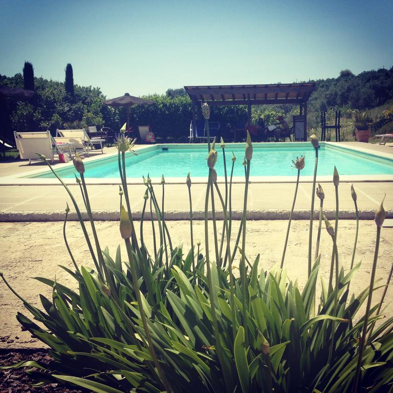 Il Borghetto Andrea Tafi Guest House ลัมปอเรคคิโอ ภายนอก รูปภาพ