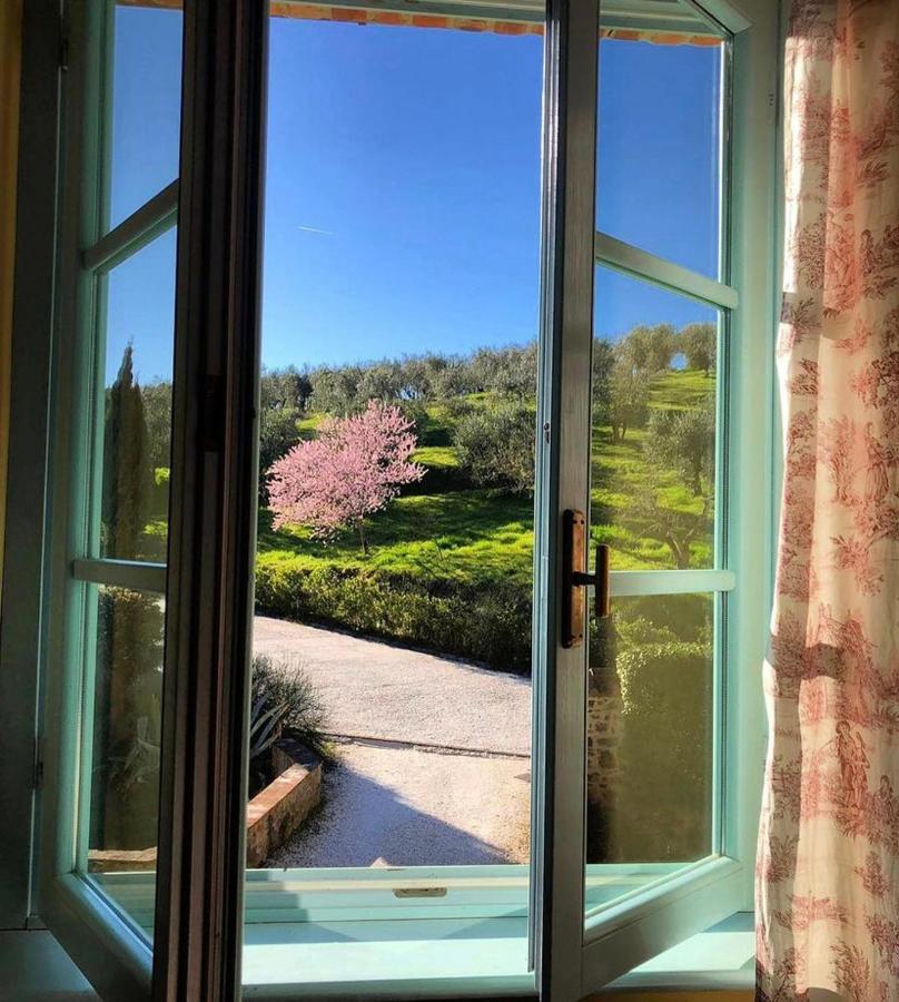 Il Borghetto Andrea Tafi Guest House ลัมปอเรคคิโอ ภายนอก รูปภาพ