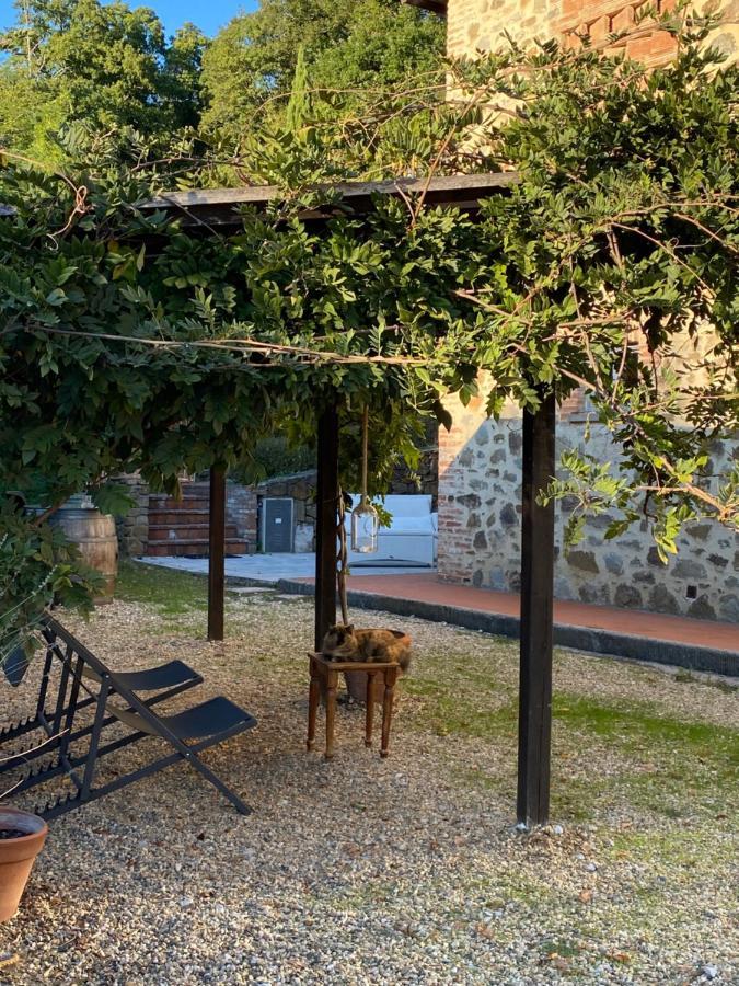 Il Borghetto Andrea Tafi Guest House ลัมปอเรคคิโอ ภายนอก รูปภาพ