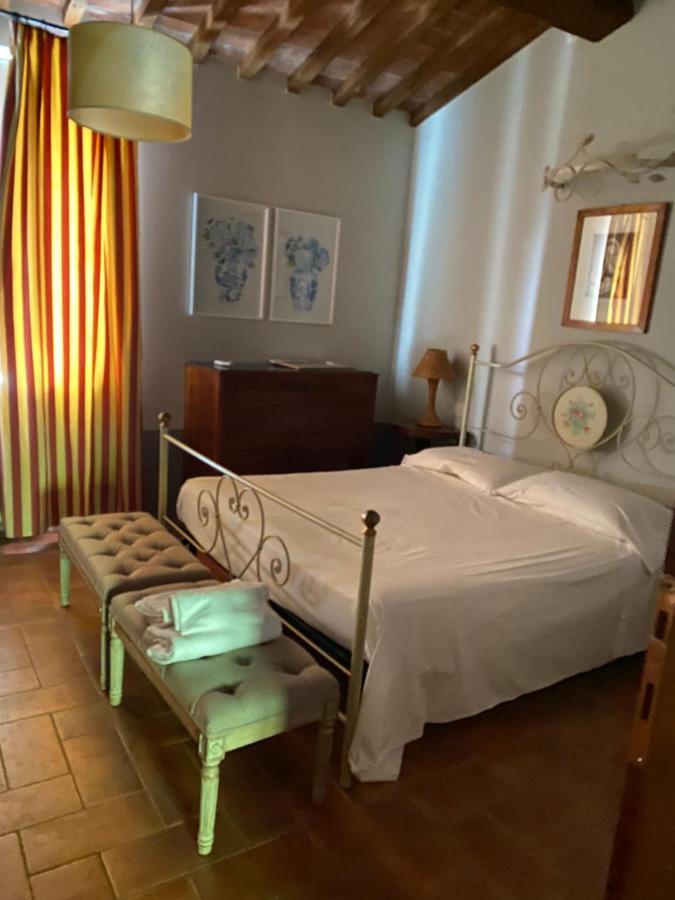 Il Borghetto Andrea Tafi Guest House ลัมปอเรคคิโอ ภายนอก รูปภาพ