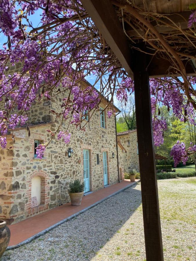 Il Borghetto Andrea Tafi Guest House ลัมปอเรคคิโอ ภายนอก รูปภาพ
