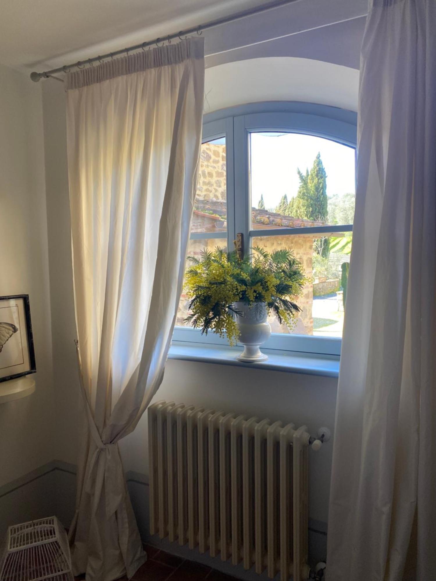Il Borghetto Andrea Tafi Guest House ลัมปอเรคคิโอ ภายนอก รูปภาพ
